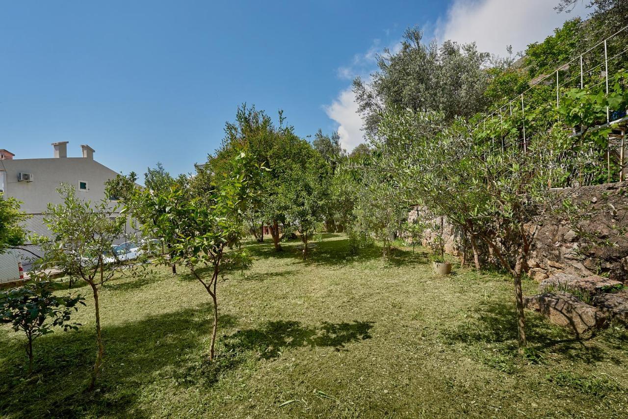 Apartmani Kuca U Maslinama Свети-Стефан Экстерьер фото